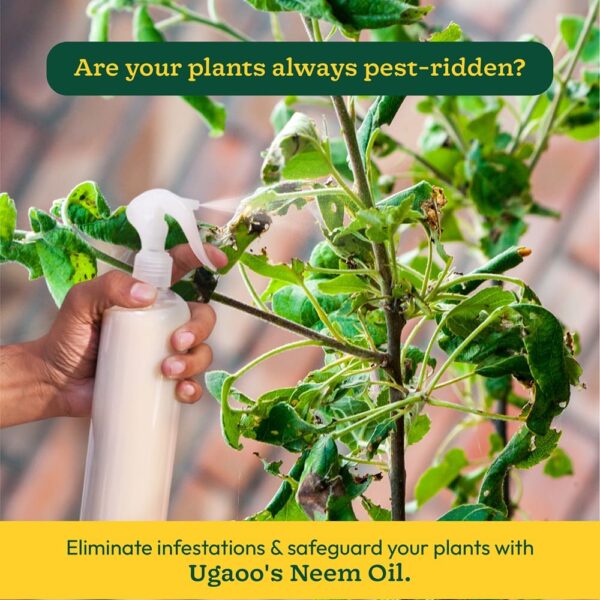 Neem Oil - 250 ml - Image 3