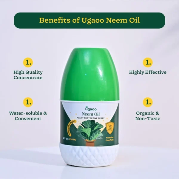Neem Oil - 250 ml - Image 4