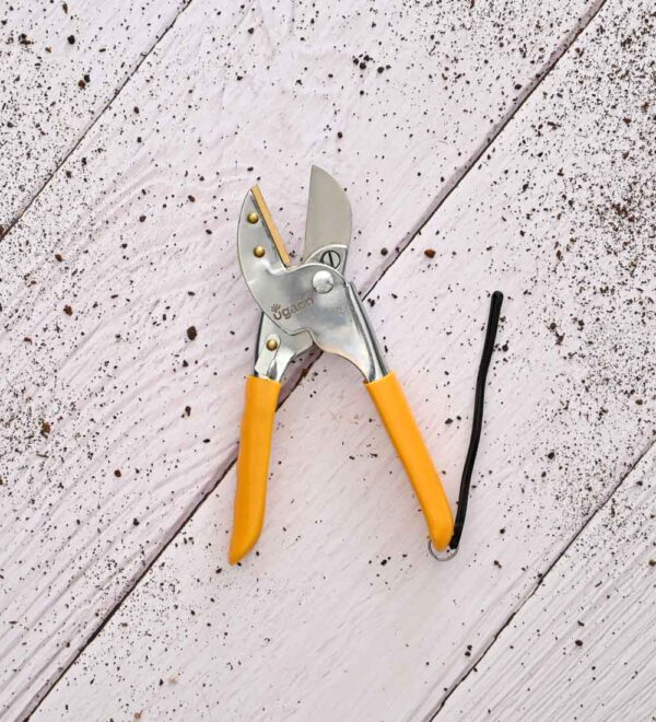 Heavy Duty Anvil Pruner - Image 3