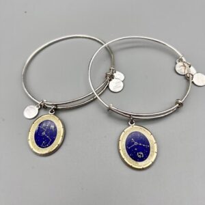 Alex and Ani Astrology Bangles Cancer and Scorpio Constellation Charm Bracelet | eBay